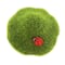 Assorted 9" Moss Mushroom with Bug Pick by Ashland®, 1pc.